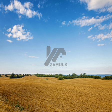 Best Industrial and Commercial Plots for Sale At Shiekhupura road Best For Investment