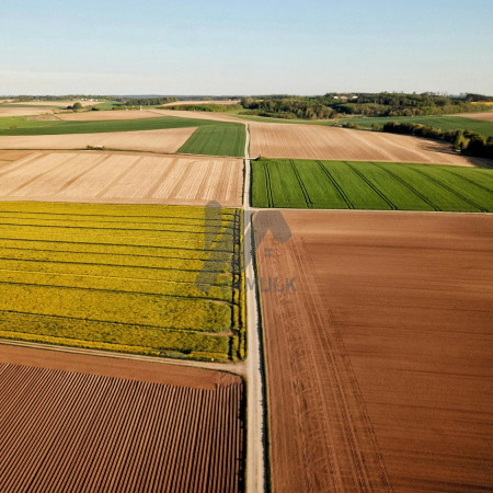 Best Industrial and Commercial Plots for Sale At Shiekhupura road Best For Investment