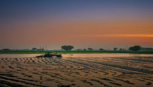 Ideal 1 Kanal Commercial Plot for Sale near Shahkot Tool Plaza best for Showroom, School and collage