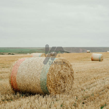 3 Kanal industrial Plot for Sale near Shahkot Tool Plaza