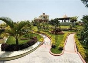 Residential Plot Is Available For Sale
