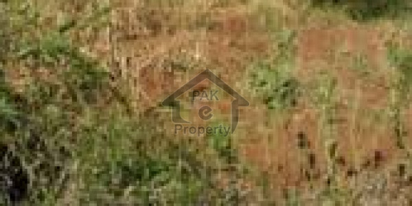 Plot Is Available For Sale