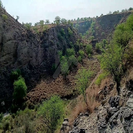 1200 Kanals Agriculture Land for Sale with Water Dam LAWA