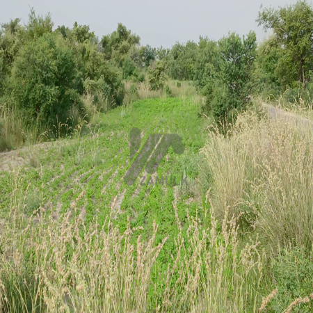 100 Kanals Agriculture Land for Sale Main Road with Water Dam in LAWA, District Talagang & Chakwal