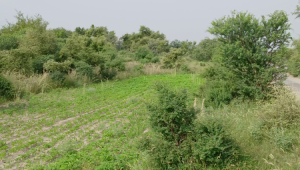 100 Kanals Agriculture Land for Sale Main Road with Water Dam in LAWA, District Talagang & Chakwal