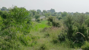 100 Kanals Agriculture Land for Sale Main Road with Water Dam in LAWA, District Talagang & Chakwal