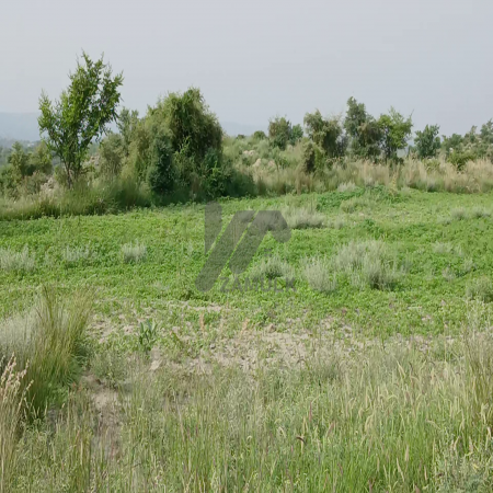 100 Kanals Agriculture Land for Sale Main Road with Water Dam in LAWA, District Talagang & Chakwal