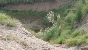 100 Kanals Agriculture Land for Sale Main Road with Water Dam in LAWA, District Talagang & Chakwal