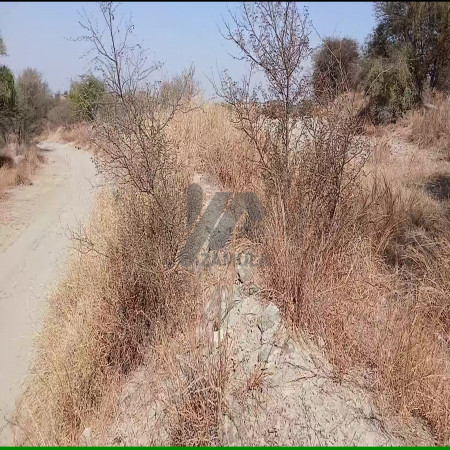350 Kanals Agriculture Land for Sale in Lawa, Talagang, Chakwal