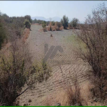 350 Kanals Agriculture Land for Sale in Lawa, Talagang, Chakwal