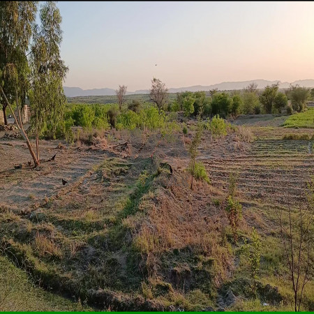 200 Kanals Agriculture Land for Sale in Lawa, Talagang, Chakwal