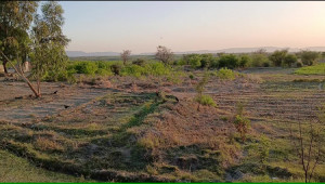 200 Kanals Agriculture Land for Sale in Lawa, Talagang, Chakwal
