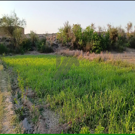 200 Kanals Agriculture Land for Sale in Lawa, Talagang, Chakwal
