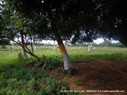 Residential Plot Is Available For Sale