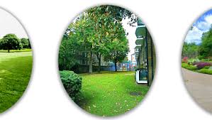 Residential Plot Is Available For Sale