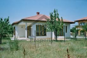 Rice Factory Is Available For Sale