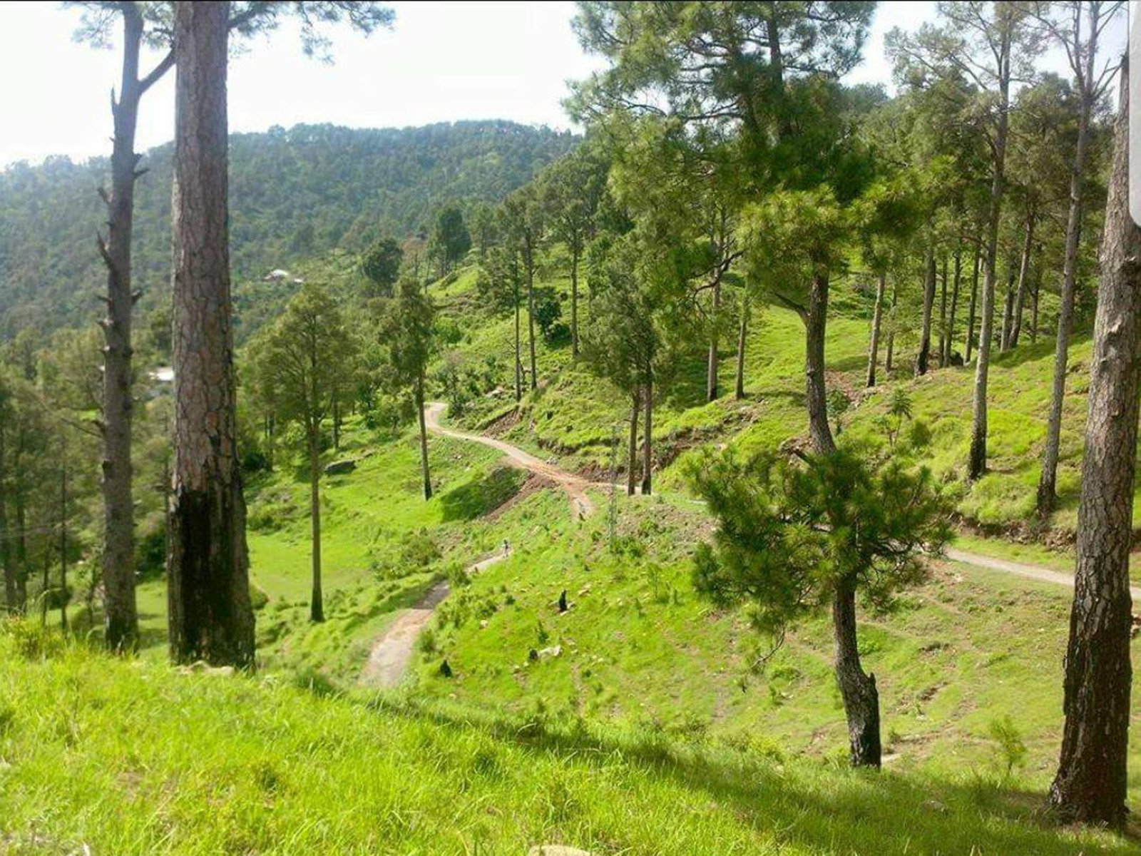 MURREE RESORTS